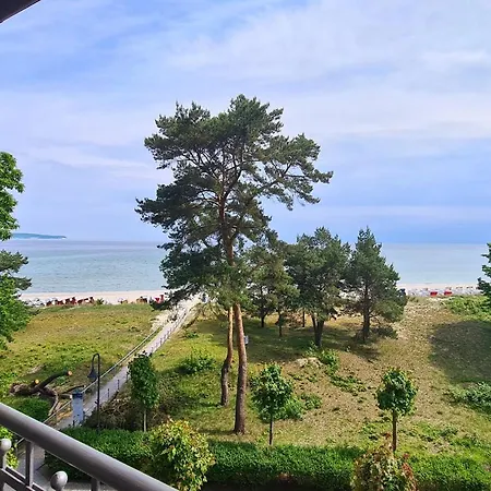 Stranddistel By Rujana *