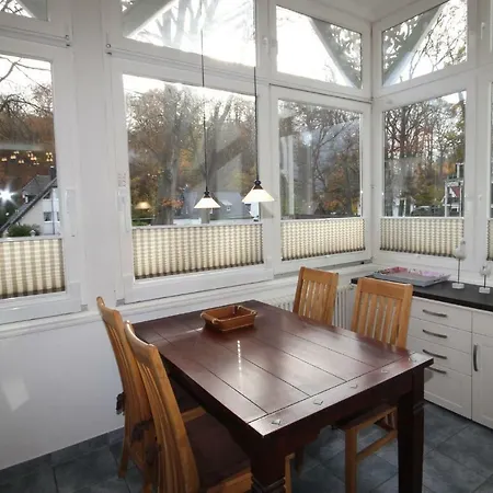 Stranddistel By Rujana Binz